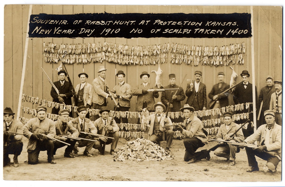RPPC Rabbit Drive, Severed Ears Bounty Hunt, Protection, Kansas, 1909 RPPC Rabbit Drive, Severed Ears Bounty Hunt, Protection, Kansas, 1909