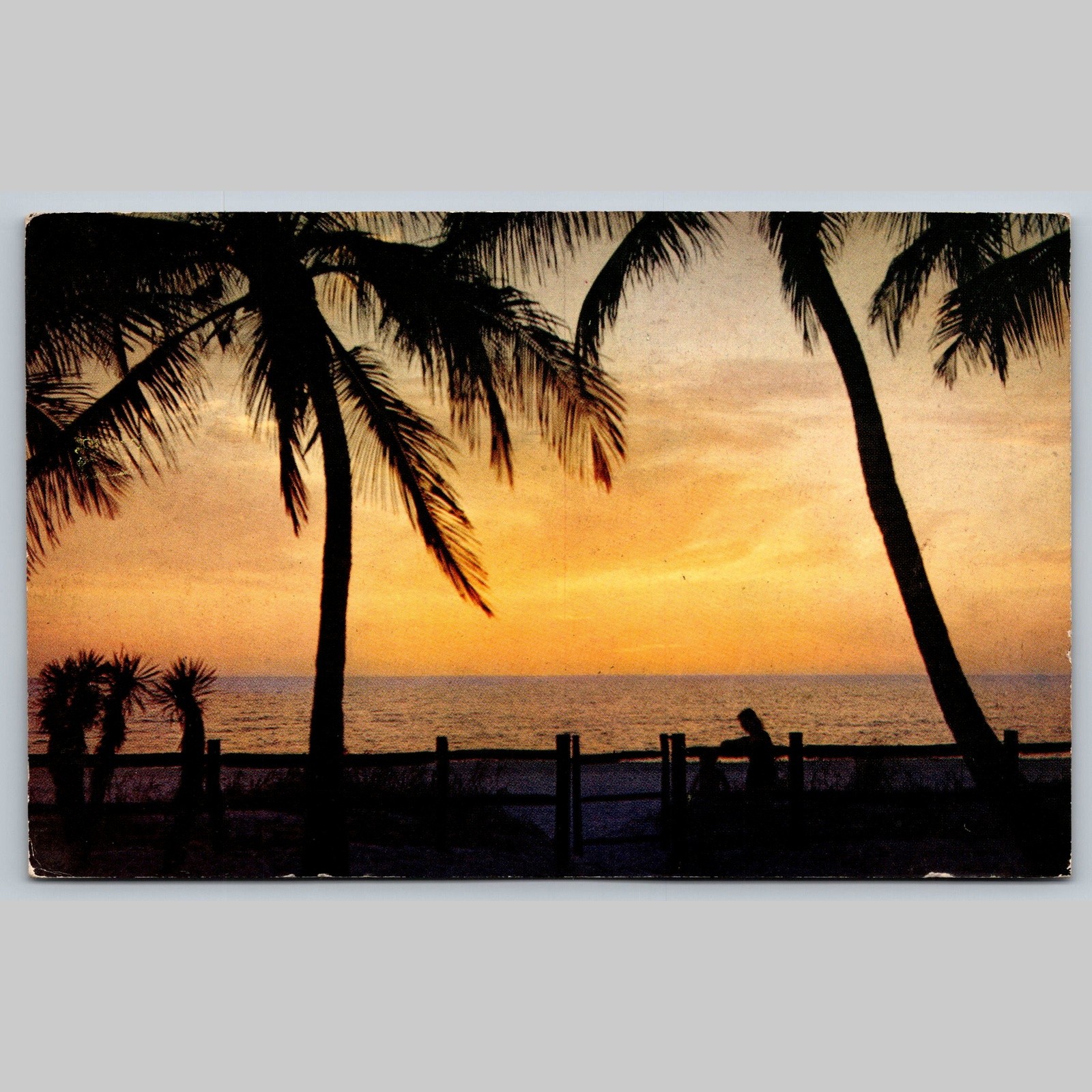 Postcard Florida Sunset Palm Trees Ocean View 1953 Postcard Florida Sunset Palm Trees Ocean View 1953