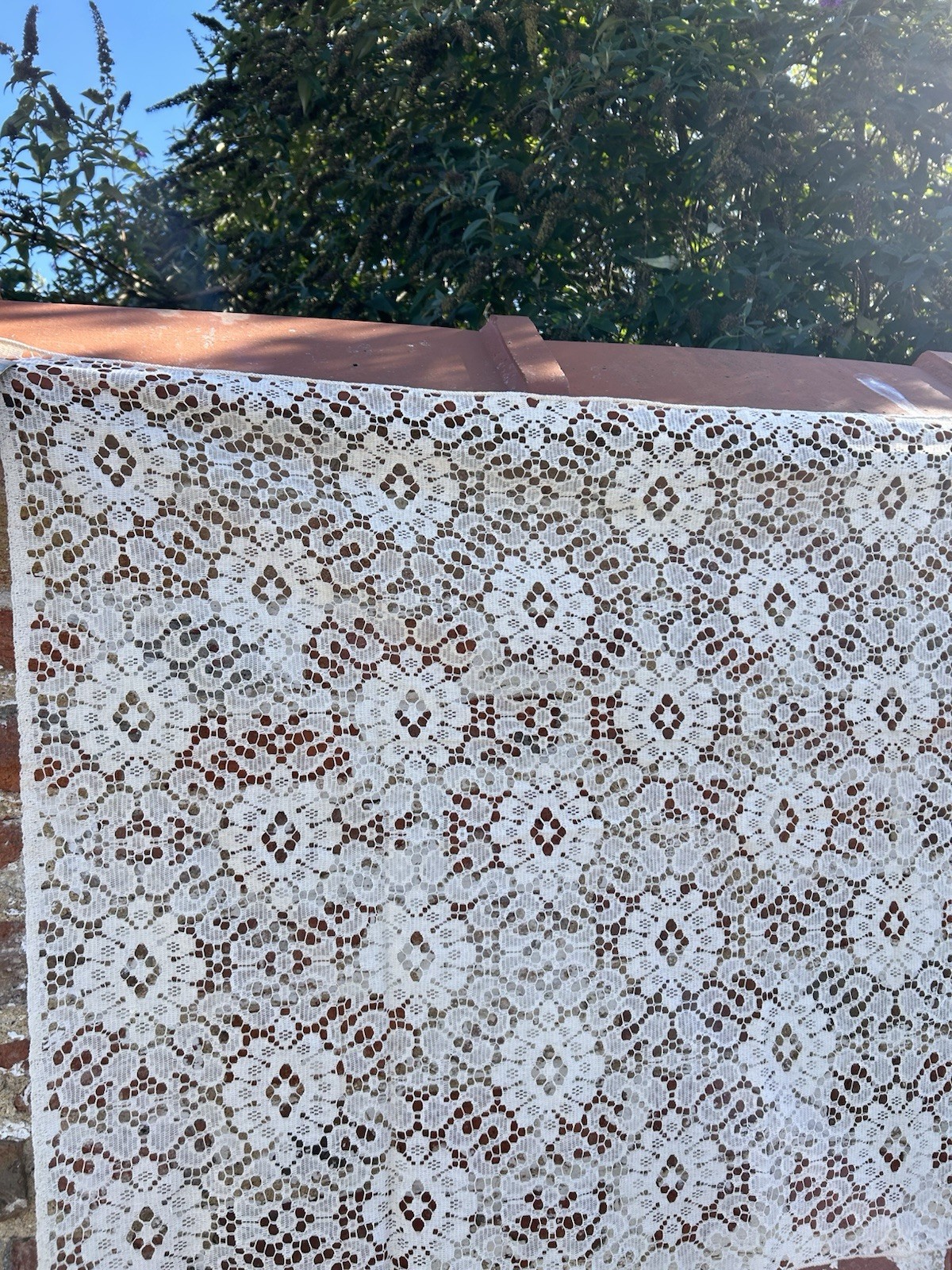 Antique Art Deco Original 1930s Tea Cotton Scottish  lace panel sample 47”/28”