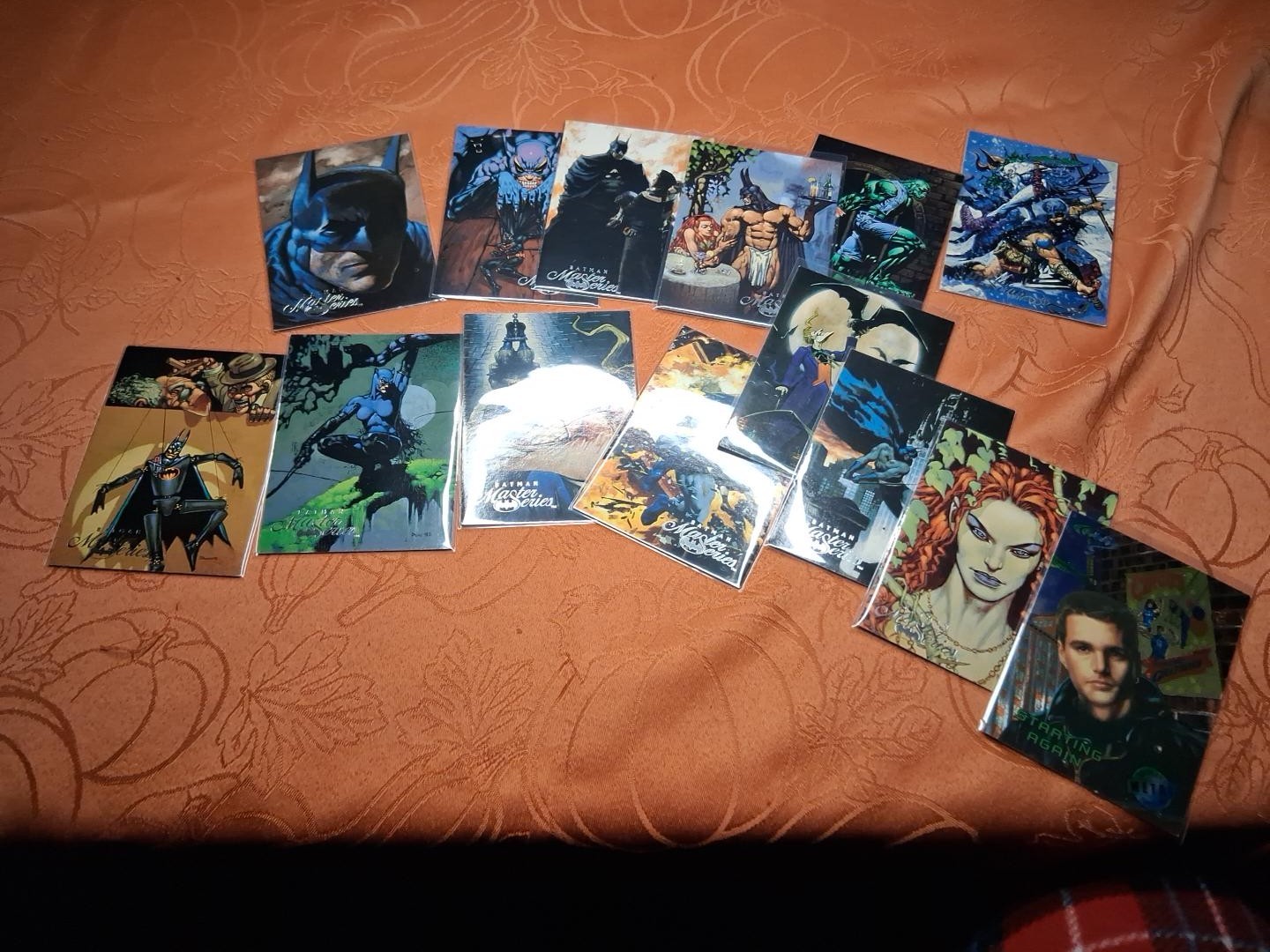 Vintage Batman Non-Sport Trading Card Lot (DC Universe / SkyBox Master Series)