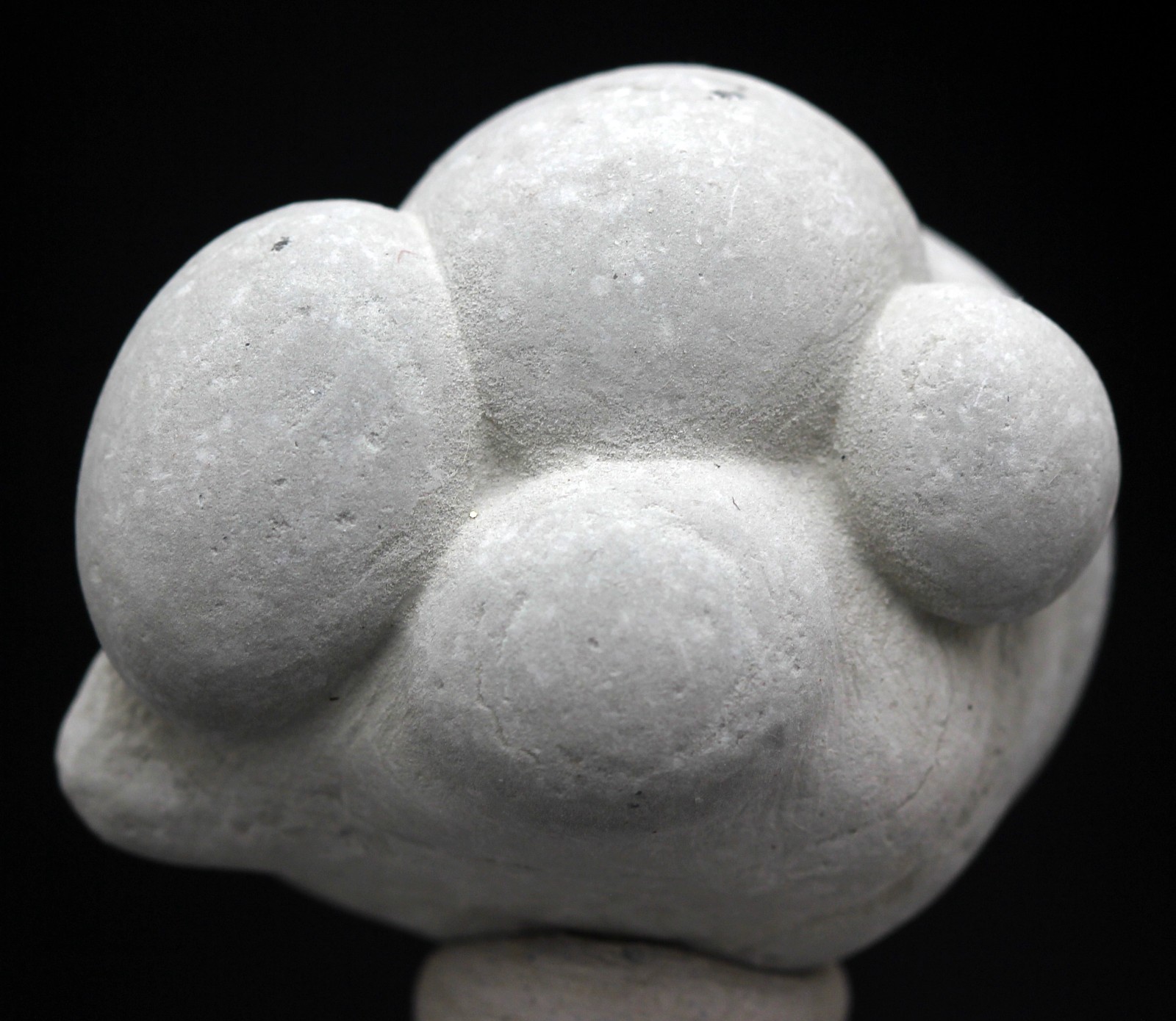 MENALITE FAIRY STONE Mineral Specimen Clay Concretion Menilite FRANCE