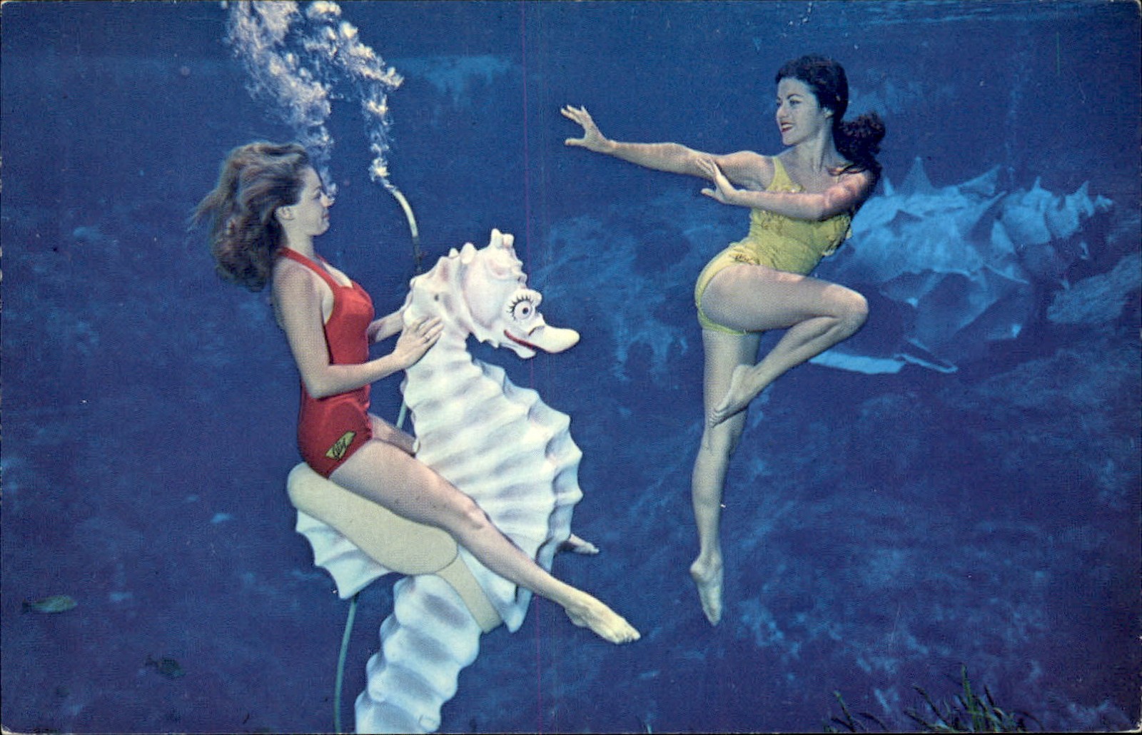 Weeki Wachee FL Live Mermaids Ward Beckett & Co. c1950s-60s Vintage Postcard Weeki Wachee FL Live Mermaids Ward Beckett & Co. c1950s-60s Vintage Postcard