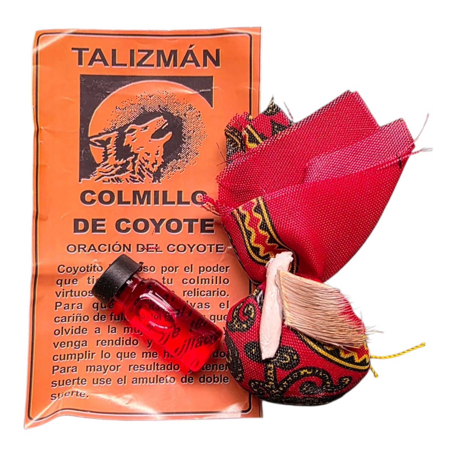 Colmillo de Coyote Amuleto de Suerte y Proteccion / Coyote Tooth Amulet of Luck