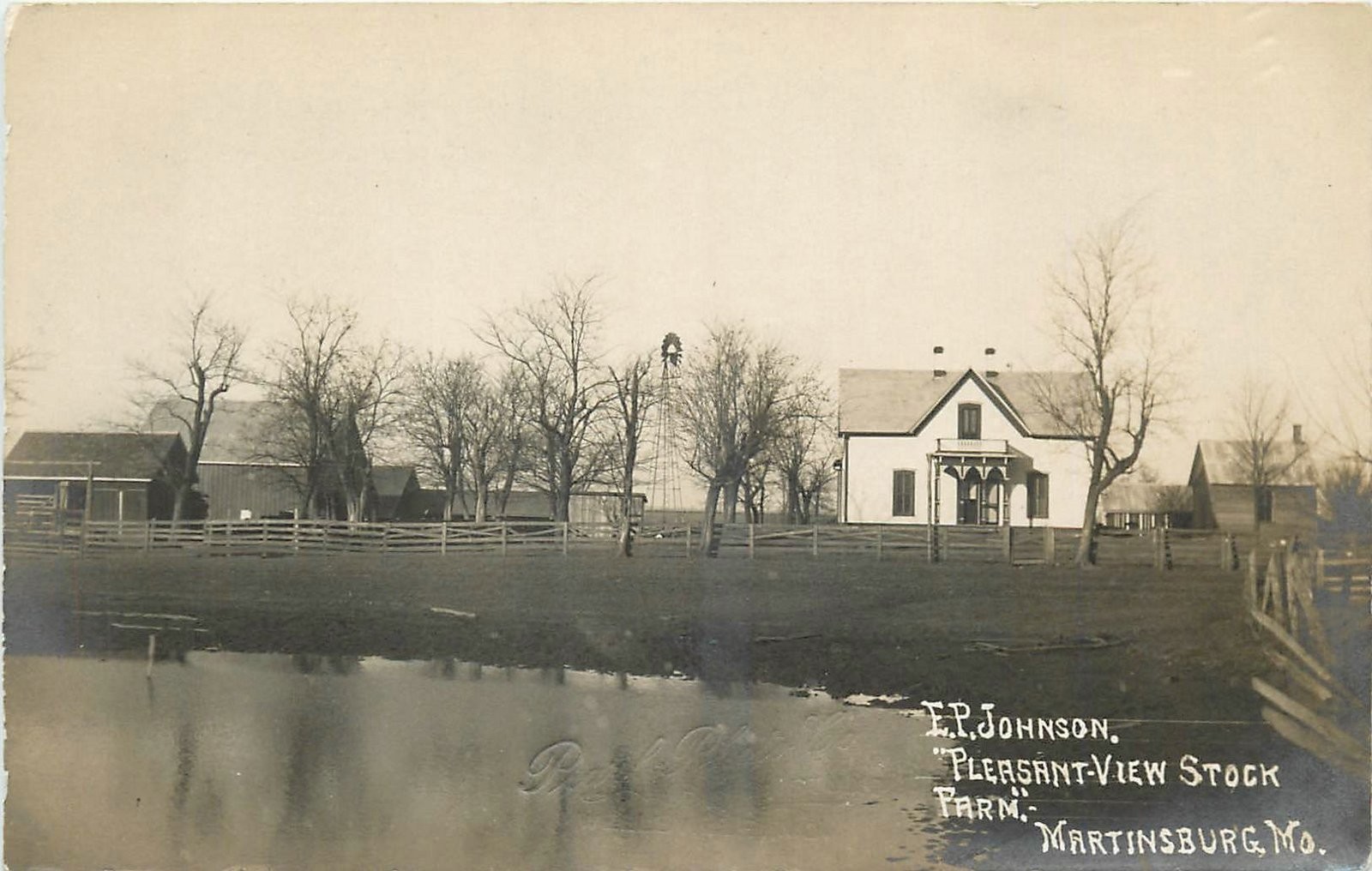 c1910 Martinsburg Missouri Johnson Pleasant View Stock Farm RPPC Postcard 26-730