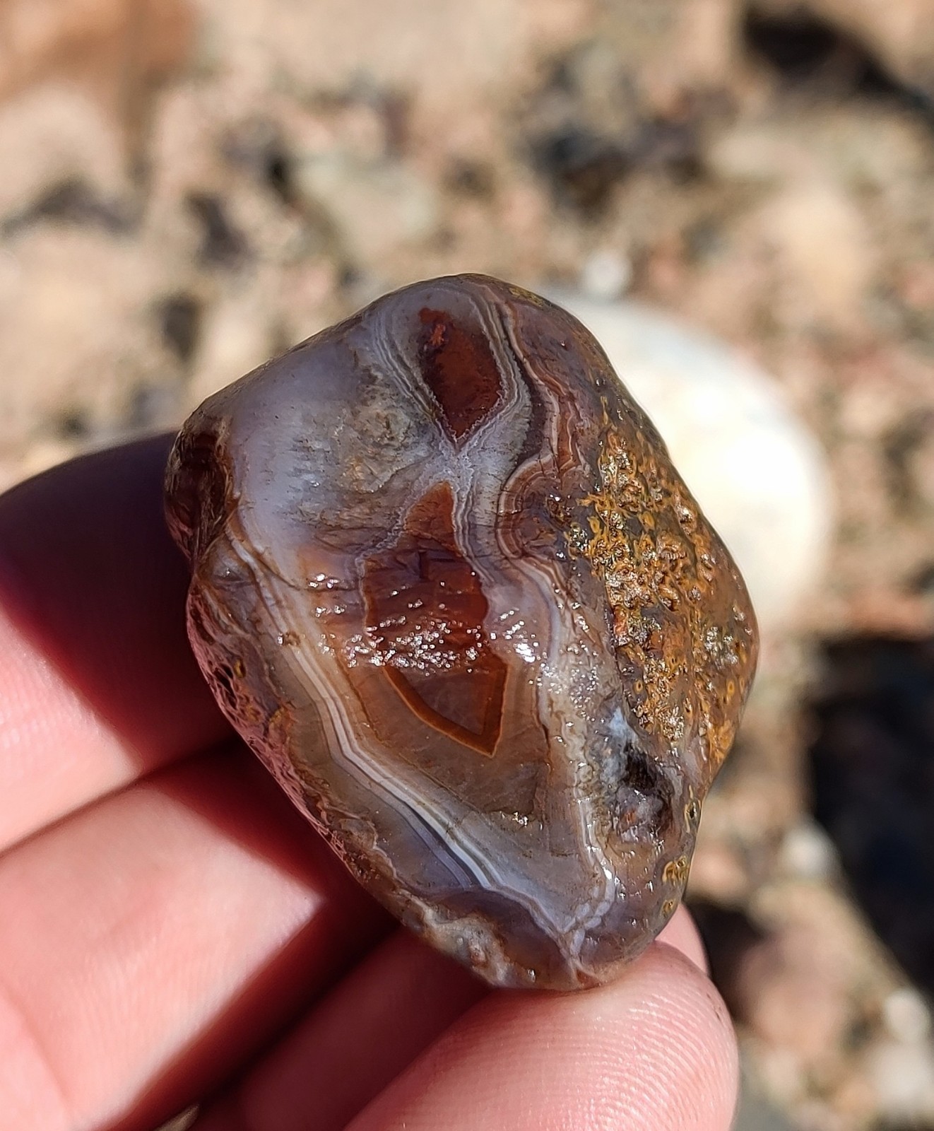 Lake Superior Agate, 1.8oz Wrap Around , Mixed Pattern Display Agate Lake Superior Agate, 1.8oz Wrap Around , Mixed Pattern Display Agate