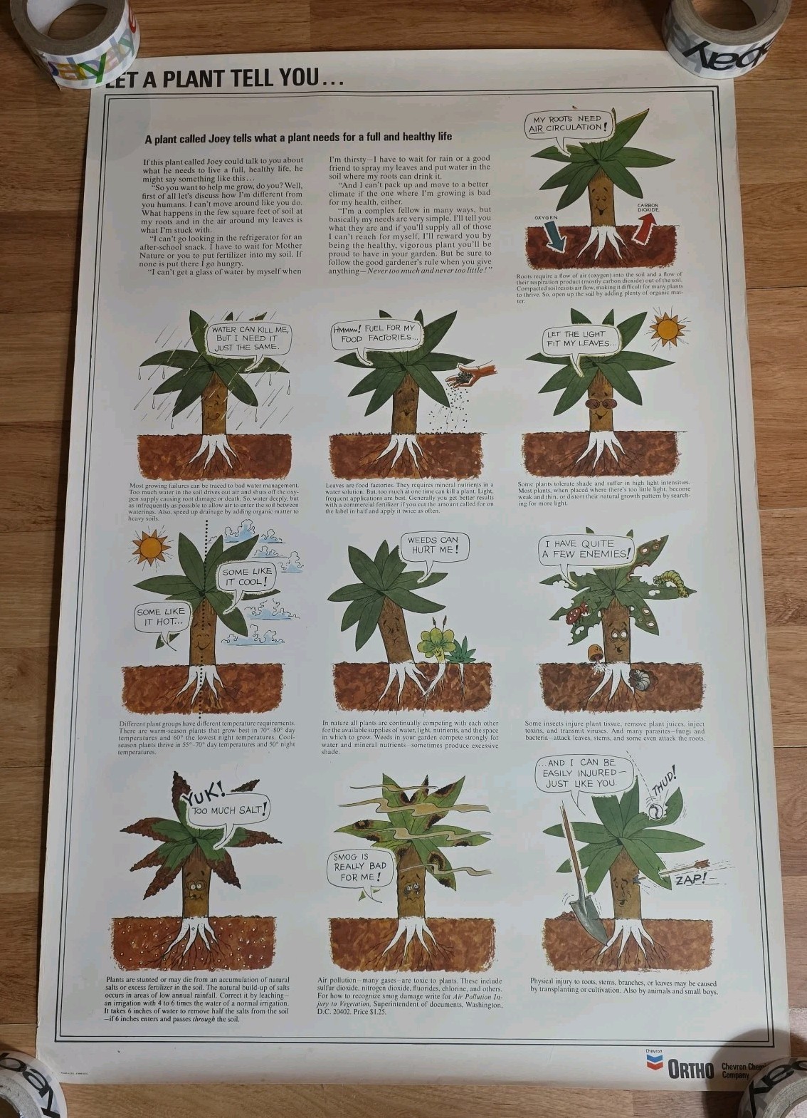 Vintage Poster What a Plant Needs classroom science botany ortho
