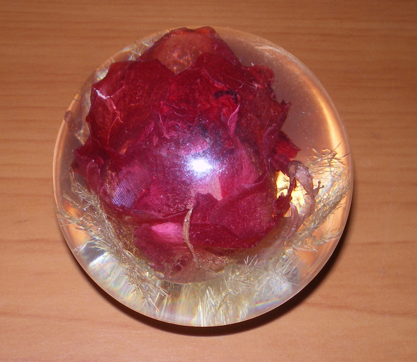 Vintage 2005 Hafod Grange Red ROSE Dried Flower Lucite Paperweight Great Britain Vintage 2005 Hafod Grange Red ROSE Dried Flower Lucite Paperweight Great Britain