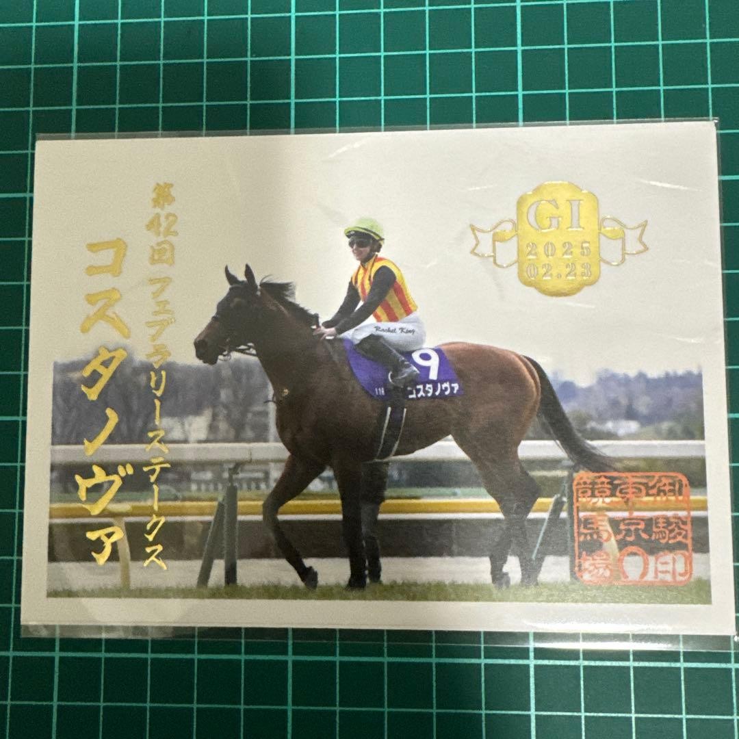 Gosun Seal Costanova Japanese JRA Goshuin Document Collection