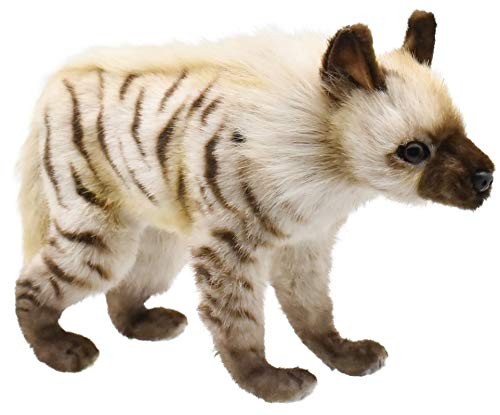 BH6210 Hansa Shima Hyena 33 NEW