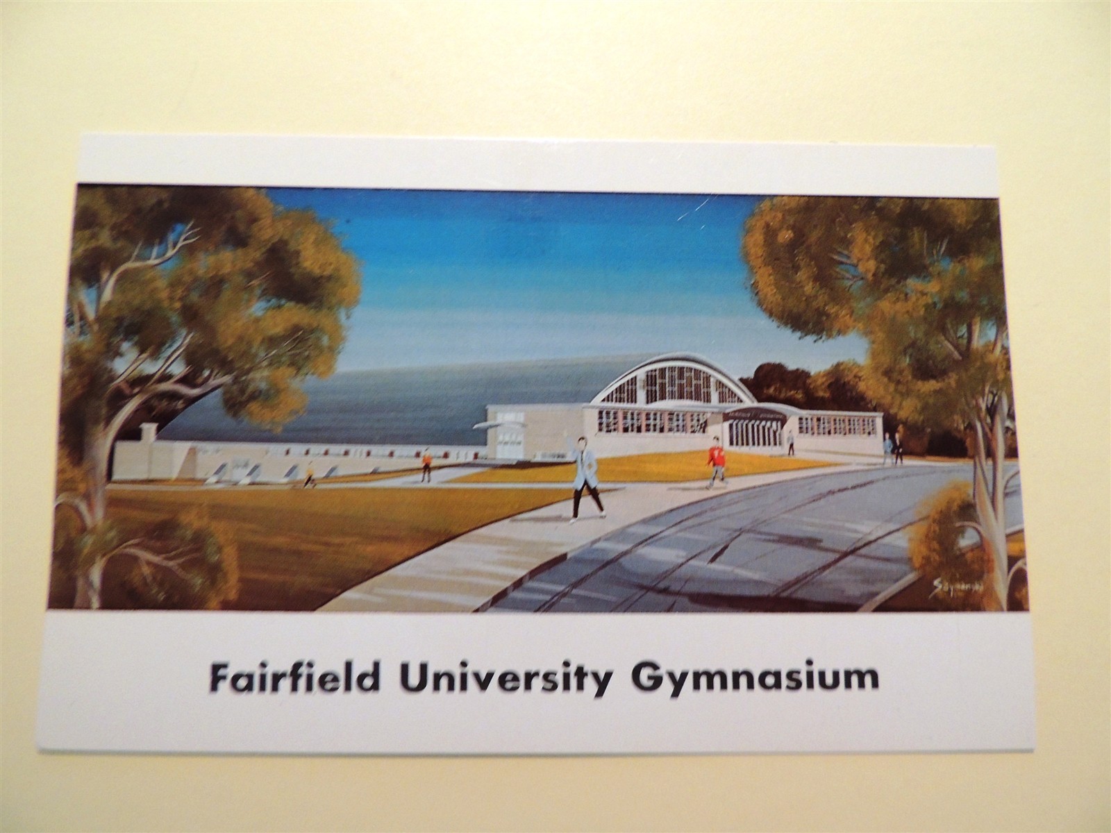 Fairfield University Fairfield Connecticut vintage postcard gymnasium 1958