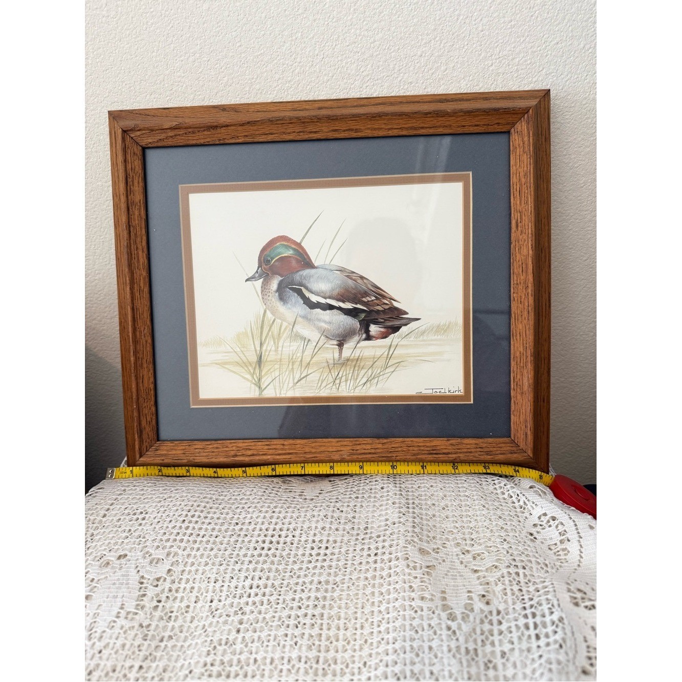 Vintage Framed Duck Bird Art Print Wood Frame Green Brown Duckling (10in x 12in)