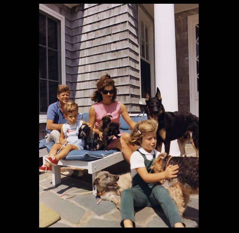 1963 John F Kennedy Family & Dogs PHOTO President JFK Jackie John Jr Caroline