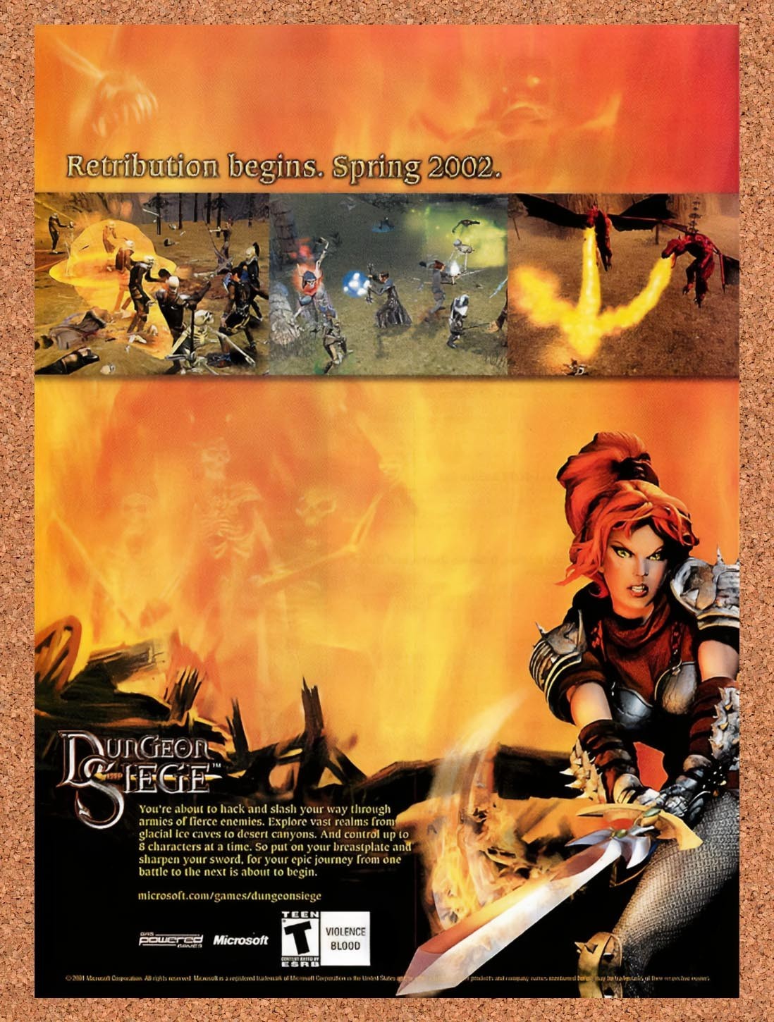 2001 Dungeon Siege PC Original Advertisement / Retro Promo v6