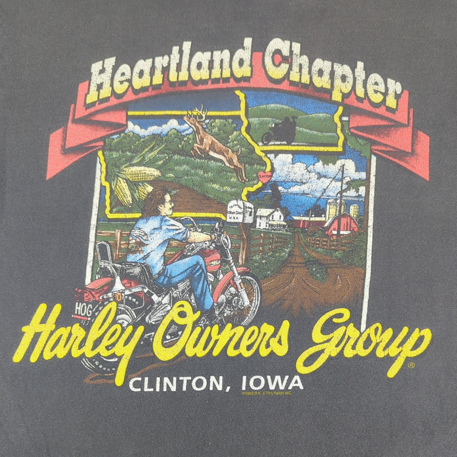 VTG '93 Harley Davidson HOG Heartland Chapter Clinton IA Sgl Stitch T-Shirt Lg 