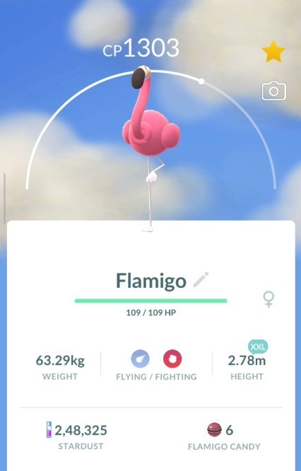 POKEMON GO | Non Shiny Flamigo XXL 2.78m | NEW PTC | Fast & Safe POKEMON GO | Non Shiny Flamigo XXL 2.78m | NEW PTC | Fast & Safe