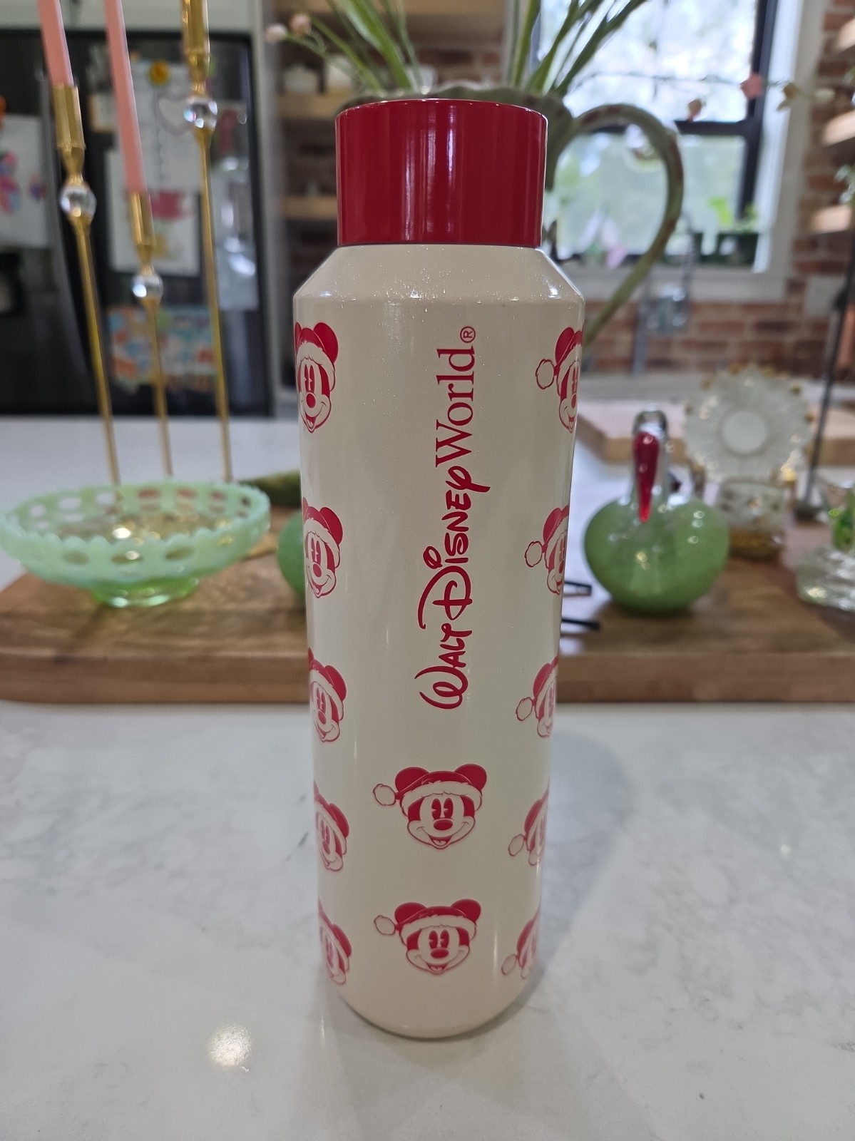 Walt Disney World Starbucks Disney Parks Christmas Mickey Mouse Water Bottle