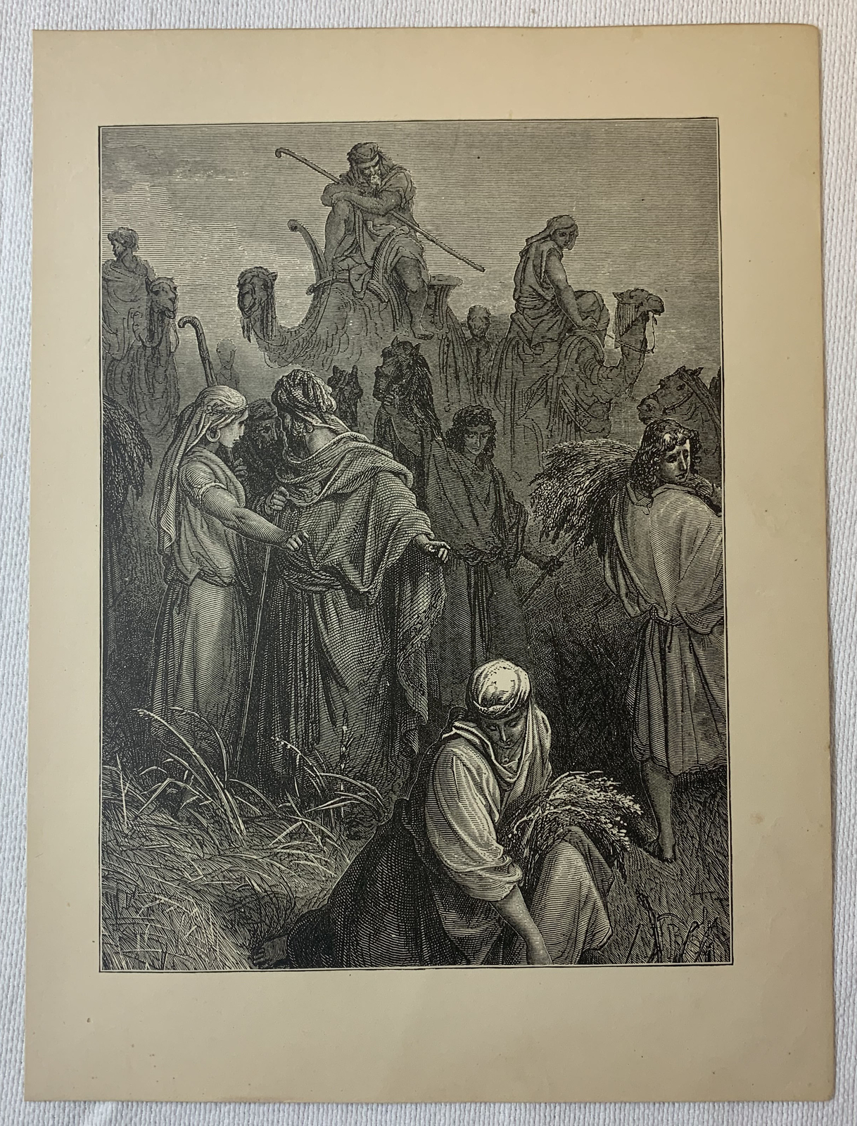 1880 book engraving ~ BOAZ AND RUTH