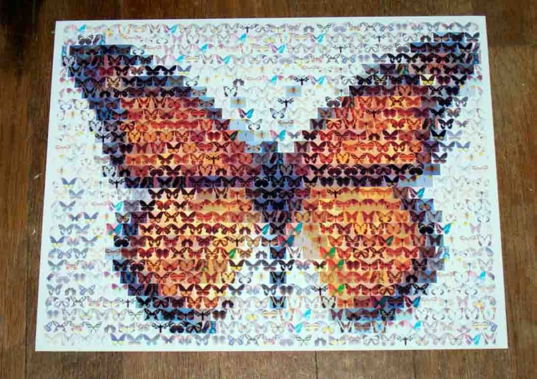 Amazing Beautiful Monarch Butterfly Montage Limited ed Amazing Beautiful Monarch Butterfly Montage Limited ed
