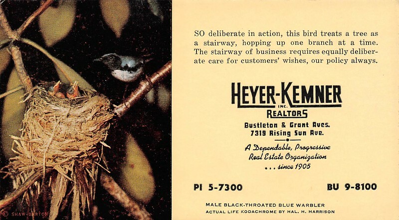 Male Black Throated Blue Warbler Heyer Kemner Realtors Sm Advtg Blotter