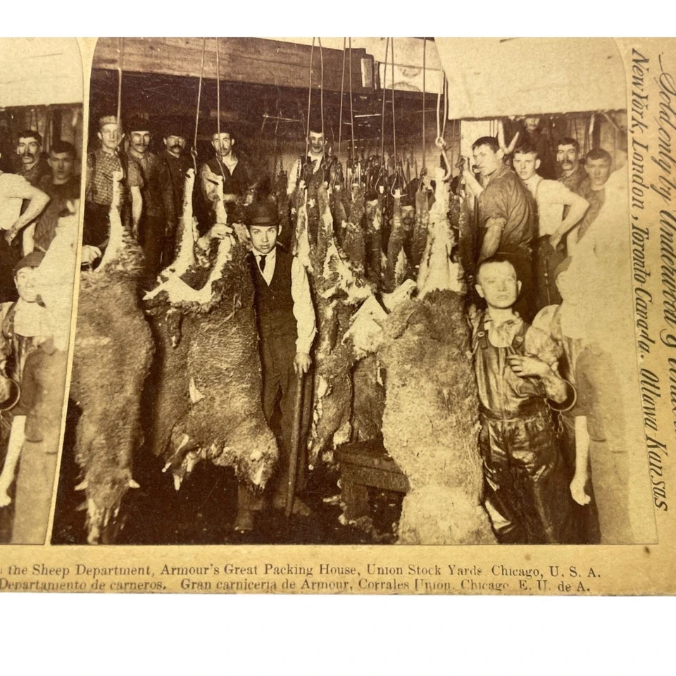 Vtg 1894 Stereoview Armour Packing House Sheep Dept Union Stock Yards Chicago