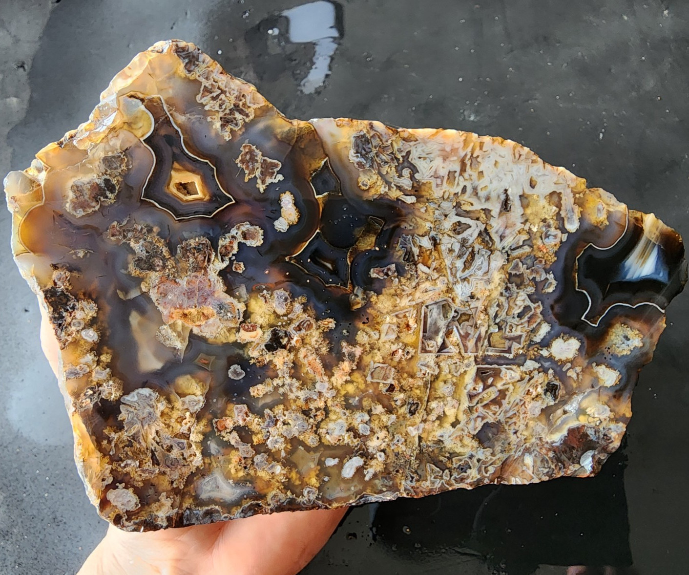 3.5 lbs (1.6 kg) Large Stick Agate, Large Tube Agate, Tube Agate Rough, Lapidary