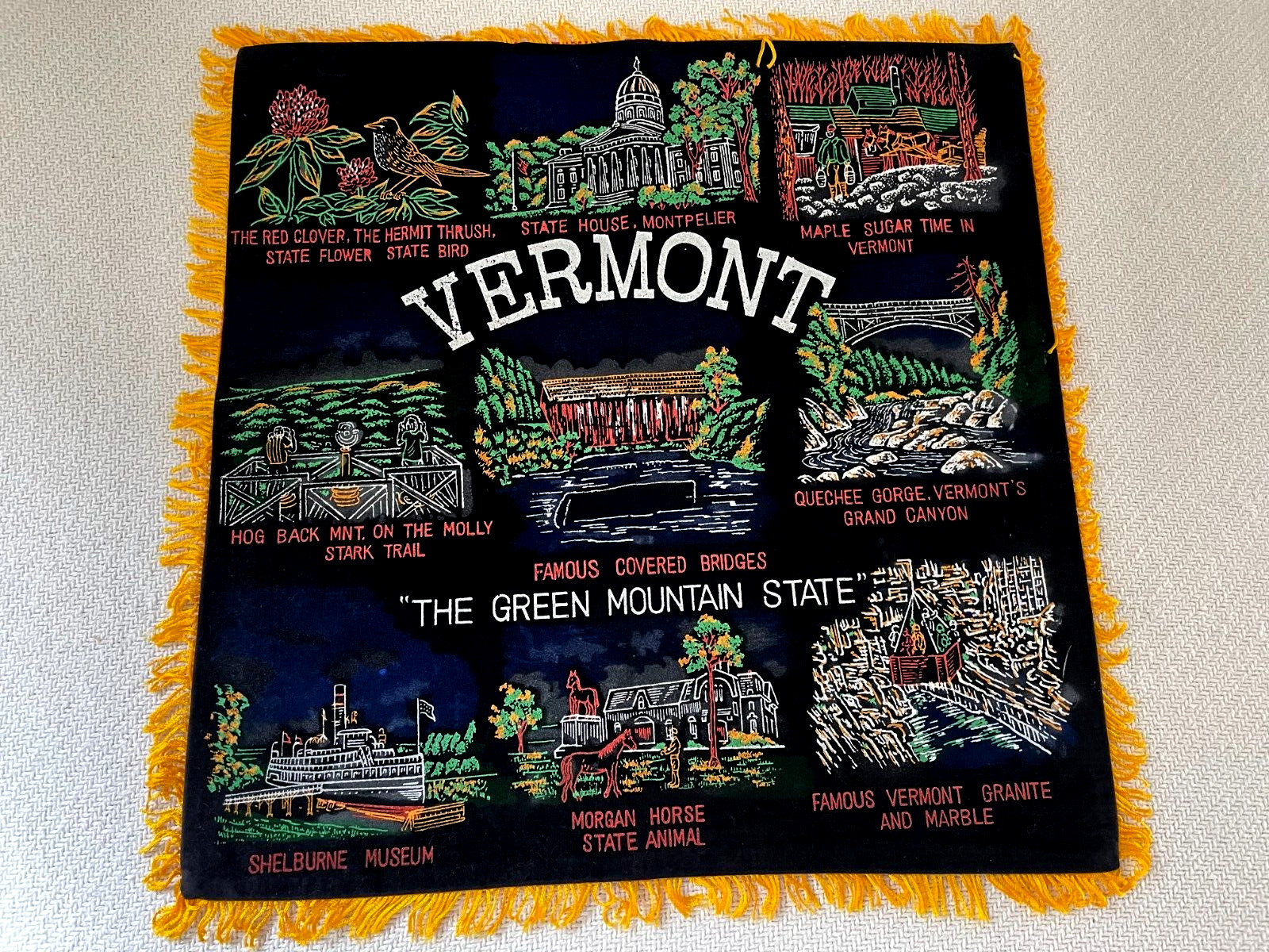 Vintage Vermont Painted Black Velvet Souvenir Pillow Case Cover  16\