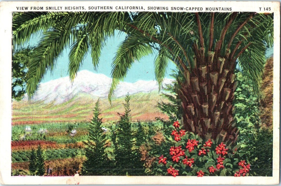 Vintage Postcard 1937 View from Smiley Heights, Redlands, California (CA)