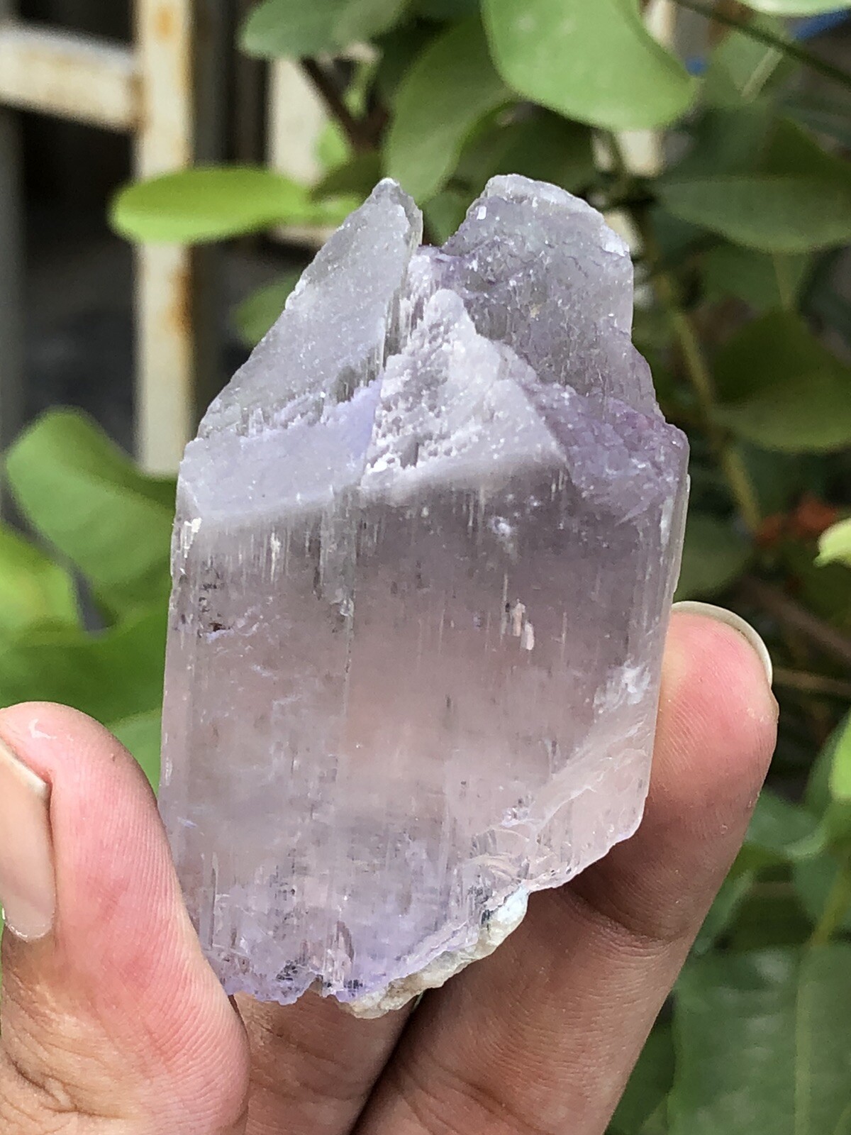 100Grm Top Class Natural Kunzite Crystal ￼Afghanistan