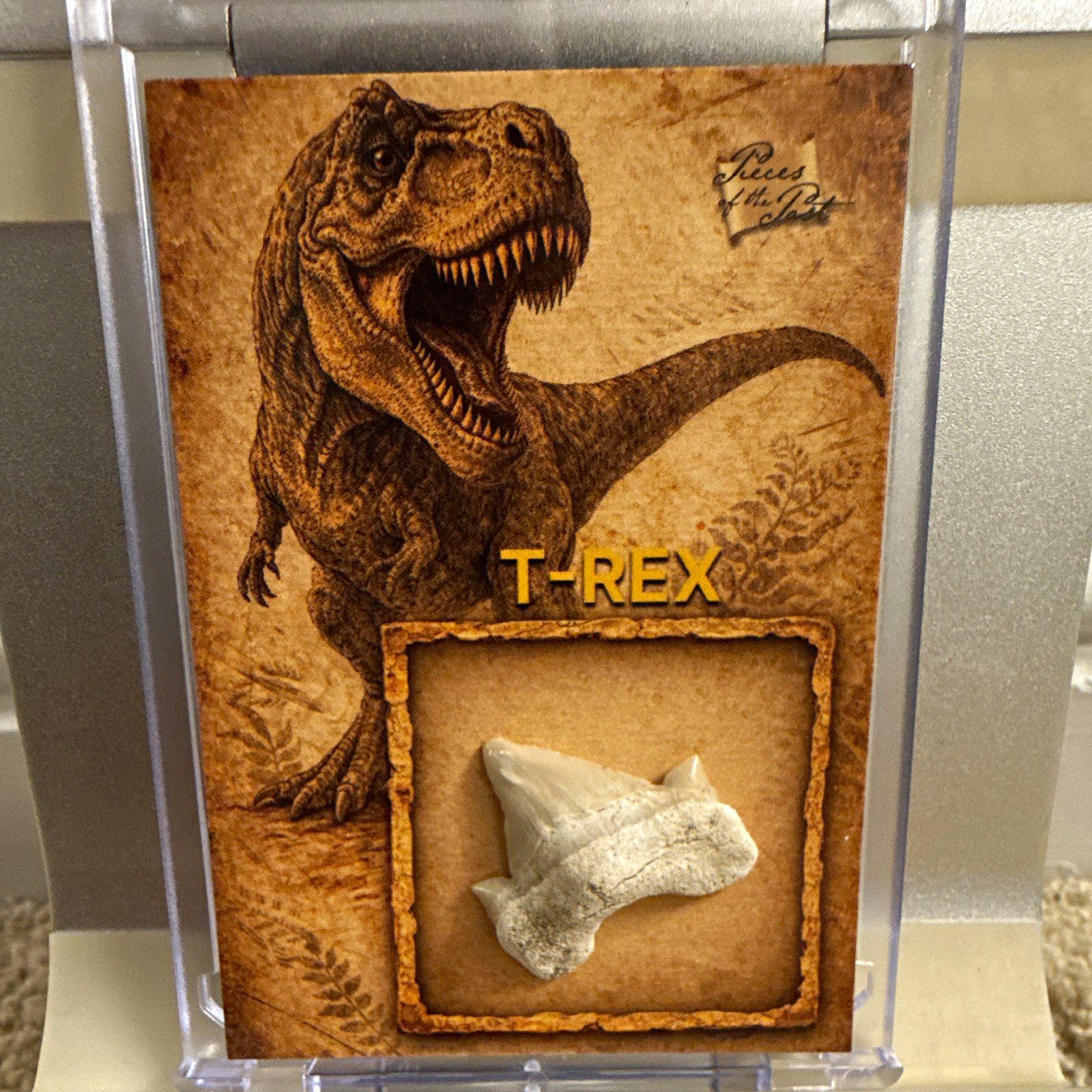 T-REX Authentic Tooth Fossil Relic Card Pieces of the Past 2026 Series 1 #2