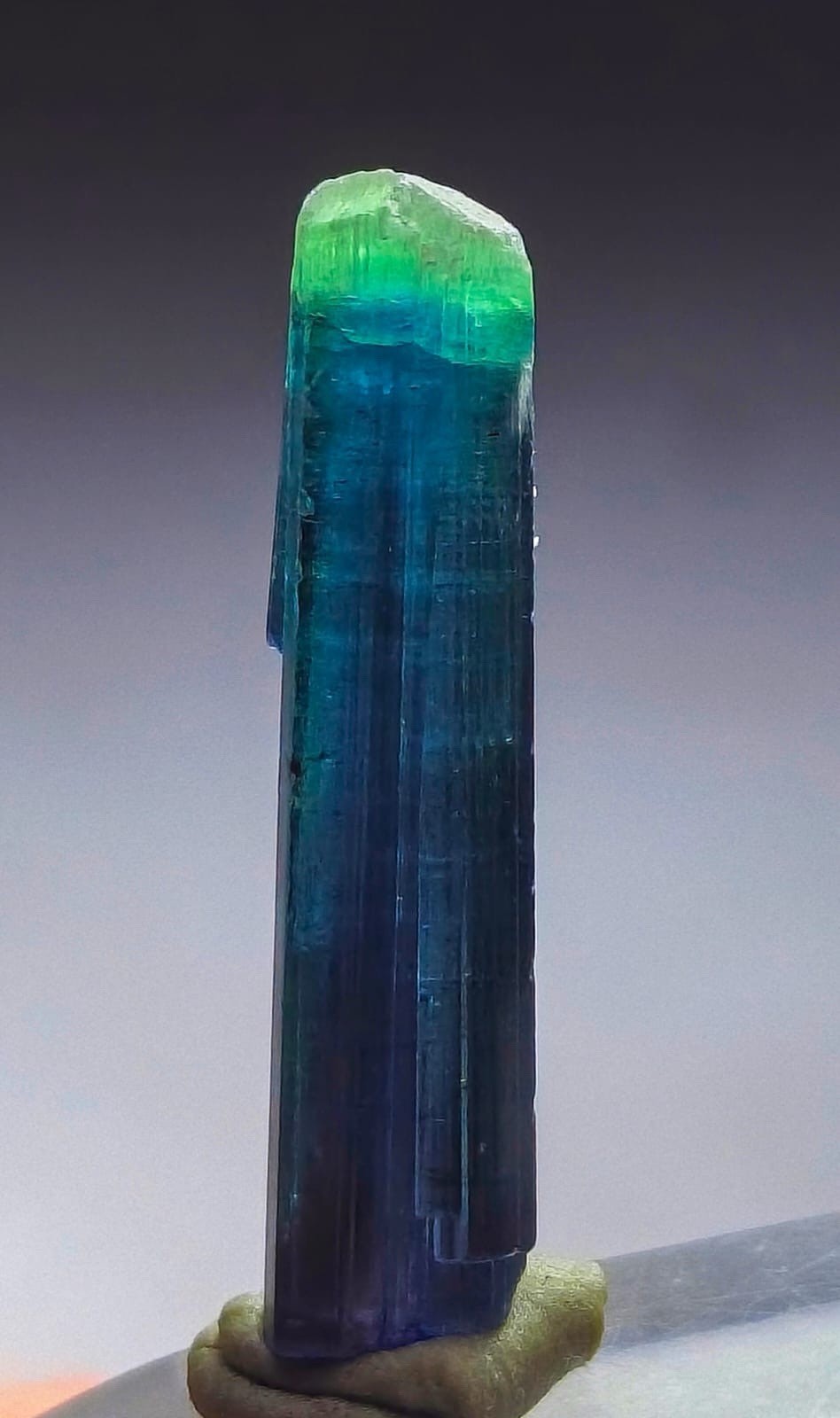 Amazing Indicolite Terminated Tourmaline Crystal From Afghanistan Amazing Indicolite Terminated Tourmaline Crystal From Afghanistan