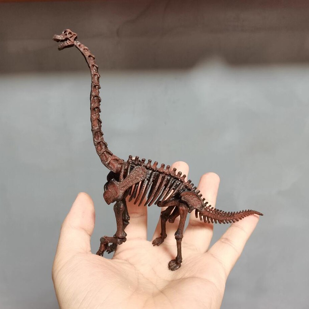 Brachiosaurus Skeleton Model Dinosaur Model Statue Display Animal Model