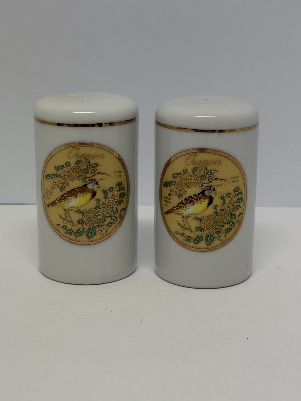 Vintage Oregon Salt & Pepper Shakers Meadowlark Oregon Grape Japan