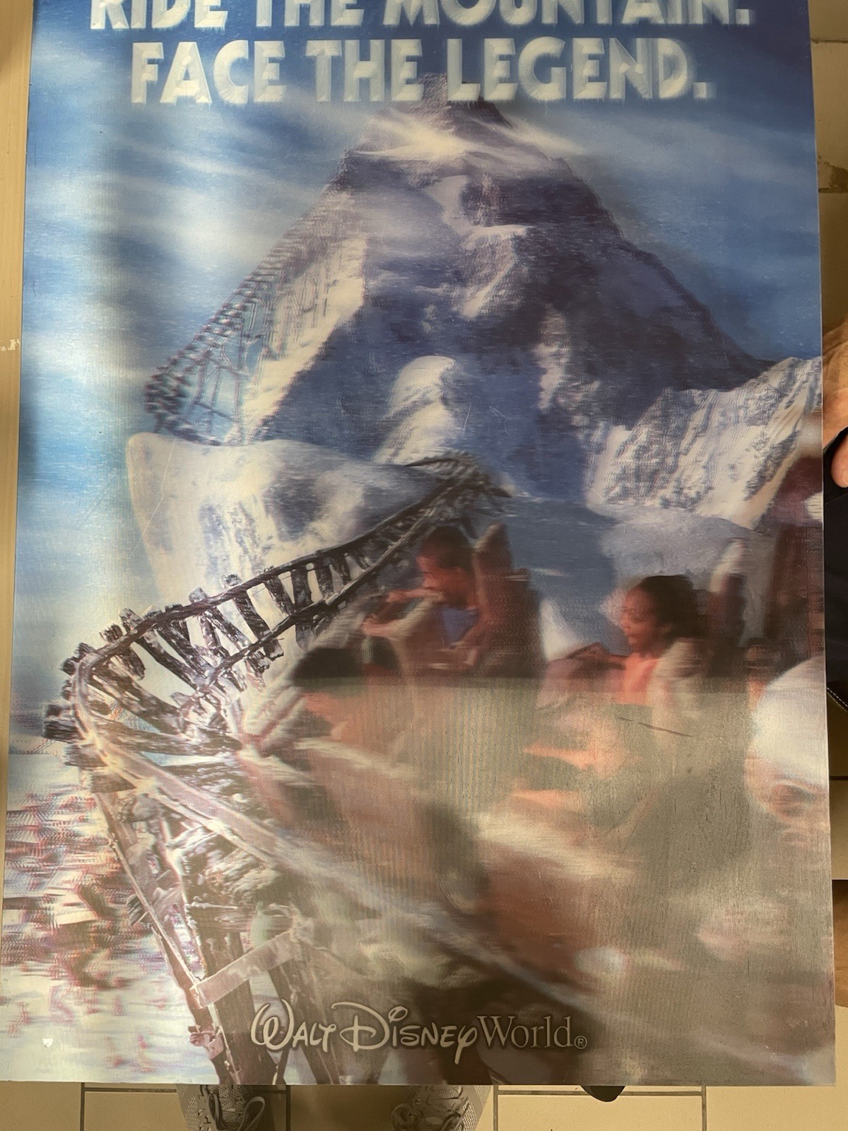 RARE vintage  3D Poster Disney Expedition Everest Roller Coaster Poster