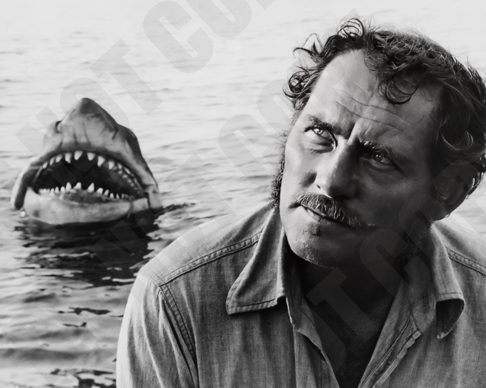1975 Jaws Movie Robert Shaw Quint With Great White in Background 8x10 Photo