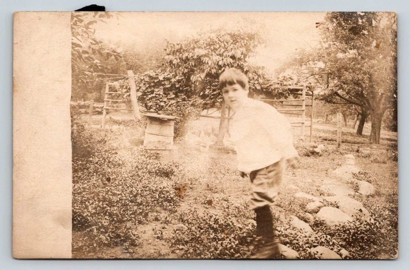 Vintage RPPC Young Boy Garden Rustic Scene Real Photo Postcard c1910s Vintage RPPC Young Boy Garden Rustic Scene Real Photo Postcard c1910s