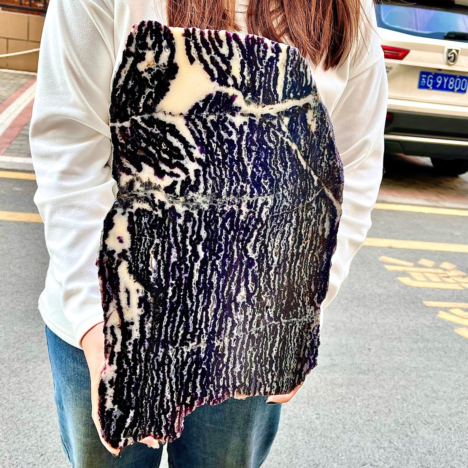 3.94LB  Beautiful Zebra Rock - Unique Purple and White Striped Gemstone