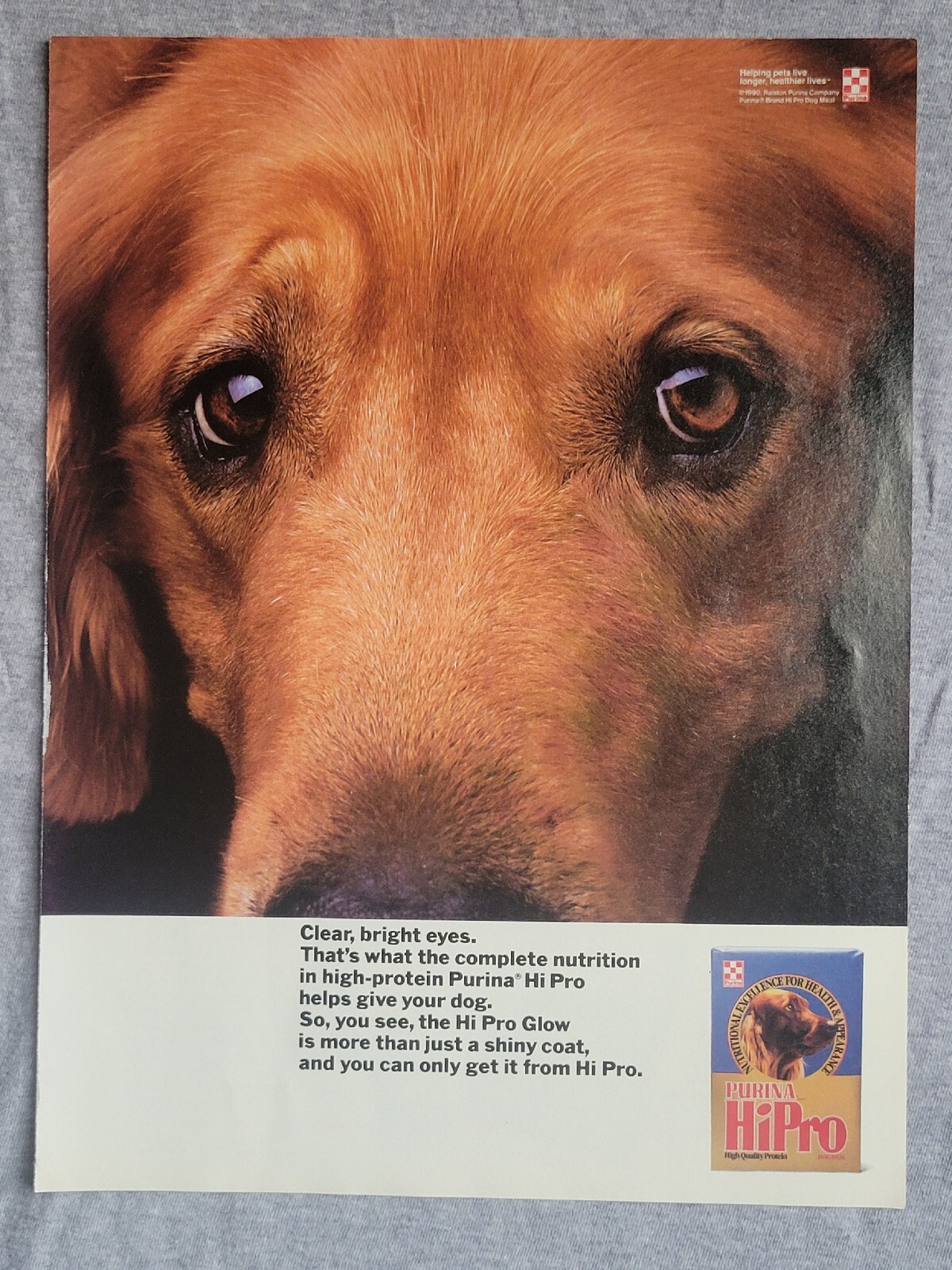 1990 Magazine Advertisement Page Purina Hi Pro Dog Food Golden Retriever Ad