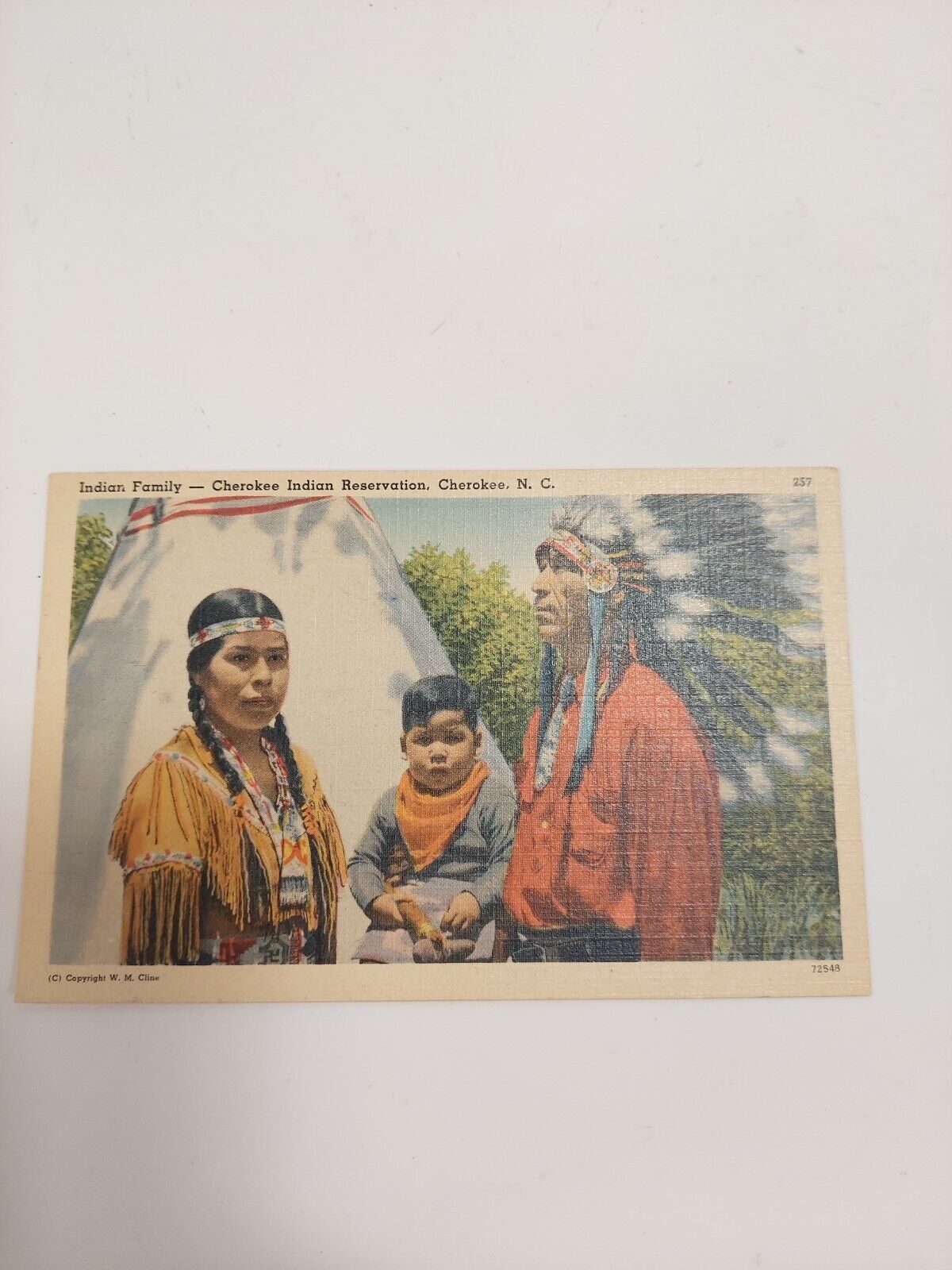 Vint Linen Postcard Native American Indian Family Cherokee NC WM Cline TICHNOR 