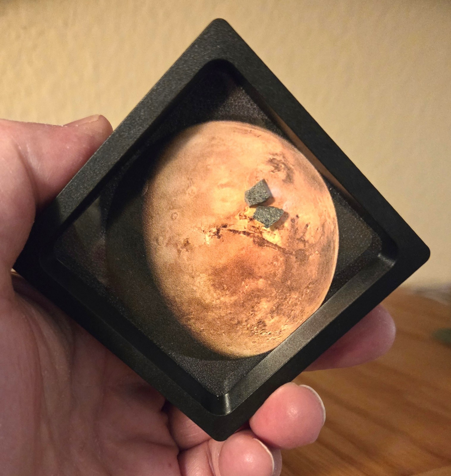 2 Genuine Mars Rocks, XL Mars Meteorites Interactive Display, Authenticity Card