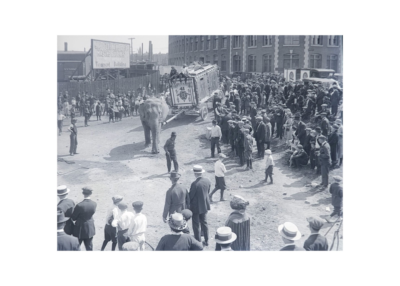 1922 Antique Glass Plate Negative Sells-Floto Circus Elephant Wagon Parade OOAK