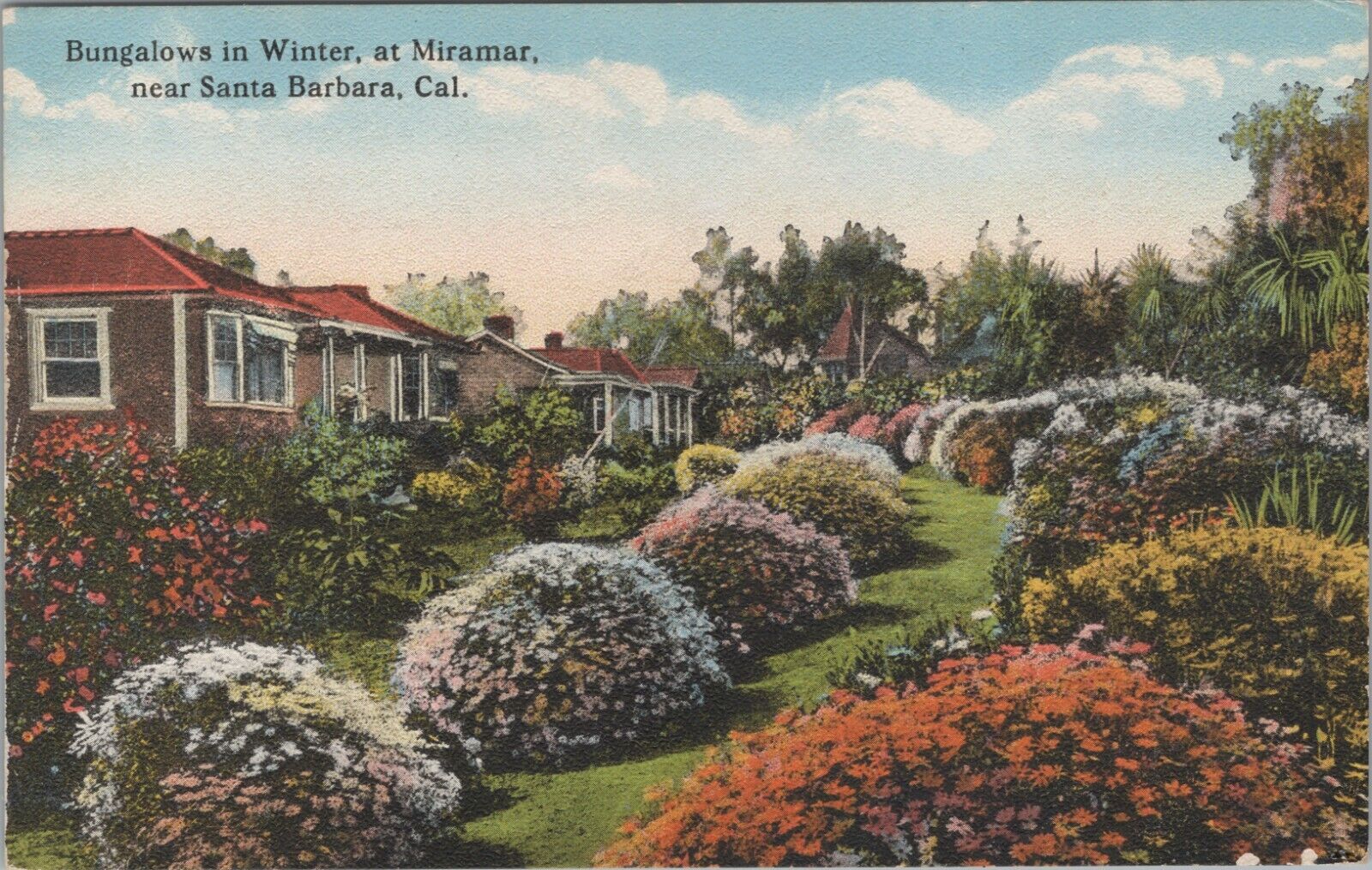 c1920 Bungalows Miramar winter Santa Barbara California flowers postcard A652