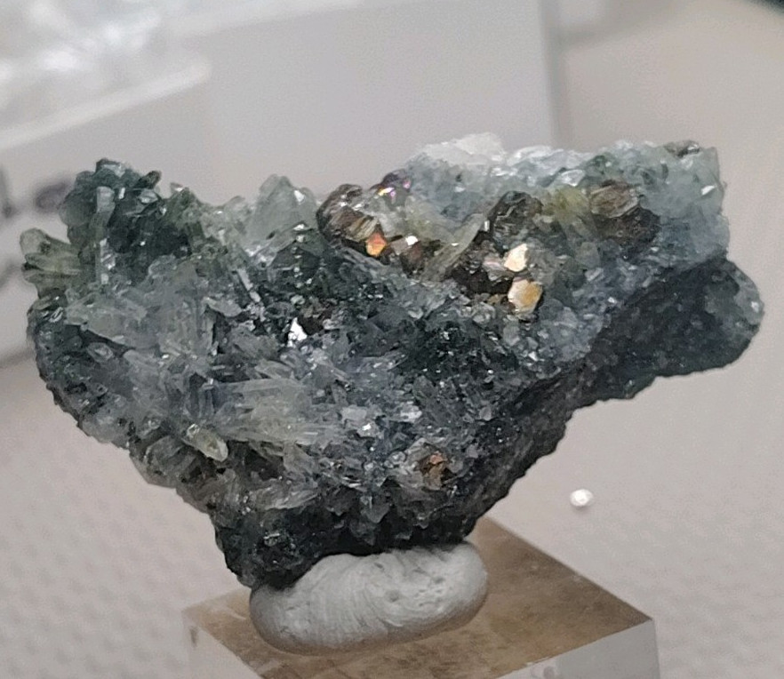 Iridescent Chalcopyrite on Green Chlorite Quartz | 5cm With UV