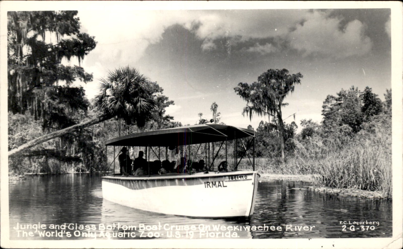 Weeki Wachee FL Glass Bottom Boat Cruise c1940s Real Photo Postcard bhn Weeki Wachee FL Glass Bottom Boat Cruise c1940s Real Photo Postcard bhn