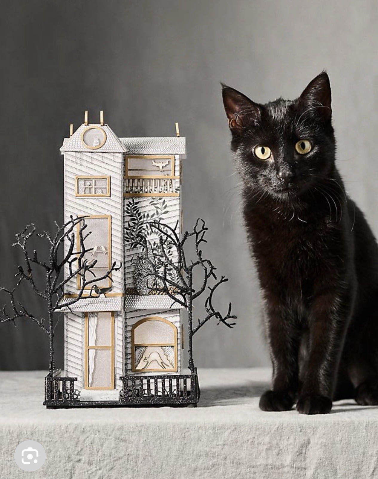 Anthropologie Florence Balducci Black Cat Halloween House Light Up