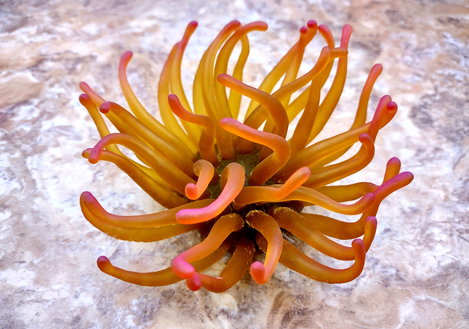 Green FAUX Anemone (1 FAKE Anemone approx. 4W X 2.5T x 2D inches)