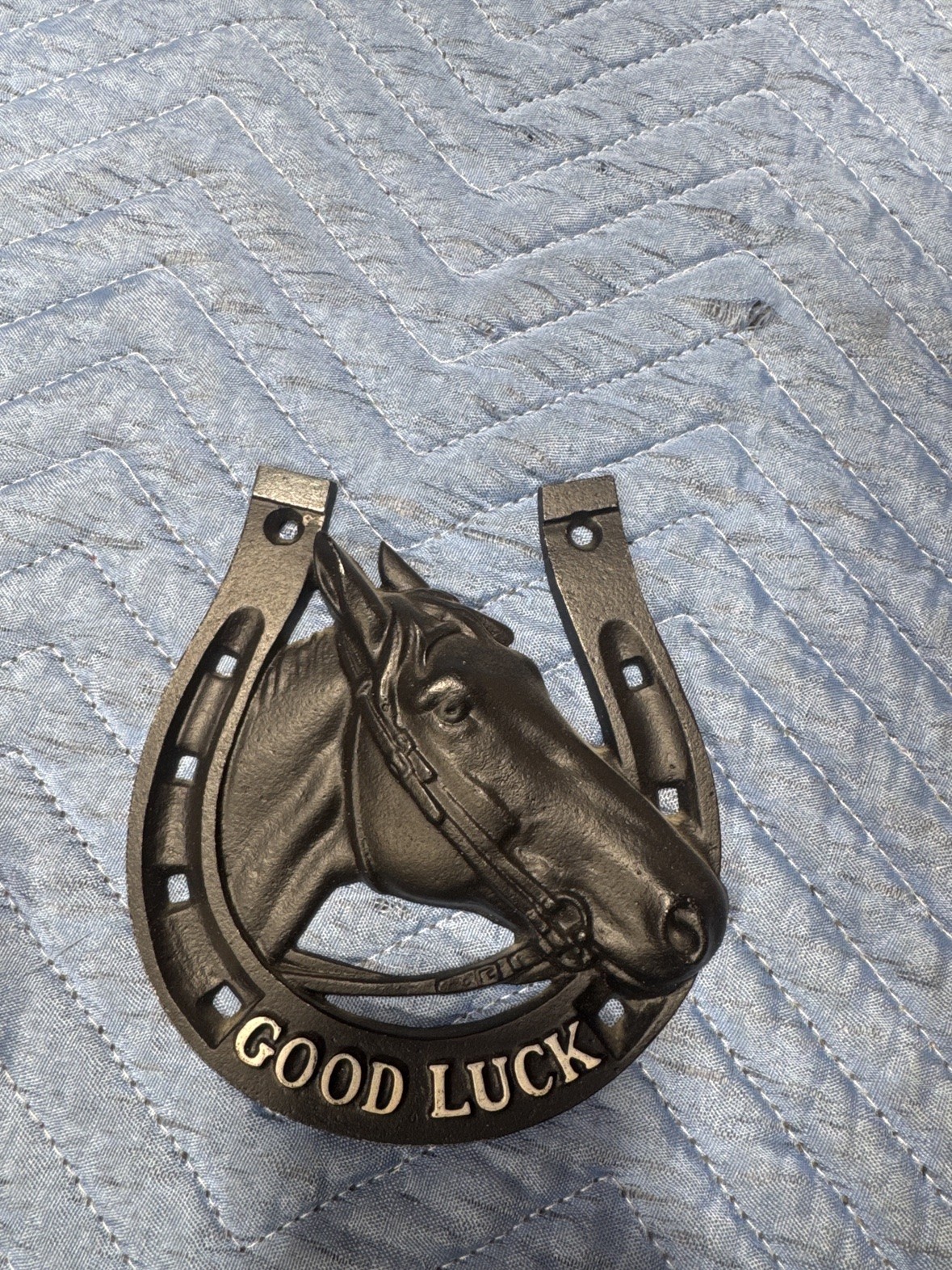 Cast Iron Good Luck Horseshoe Horse Head Wall Plaque Barn Decor