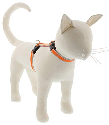 Lupine Reflective Cat & Small Pet H-Style Harness,1/2 Lupine Reflective Cat & Small Pet H-Style Harness,1/2
