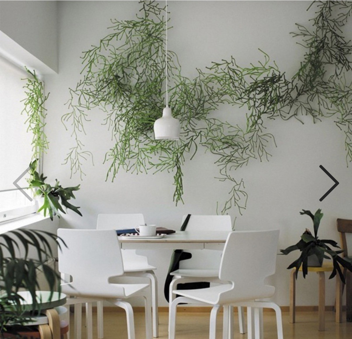 Vitra Design Algue Wall Architectural Mesh Web Plant Art Verde Green 50 Pc +Pins
