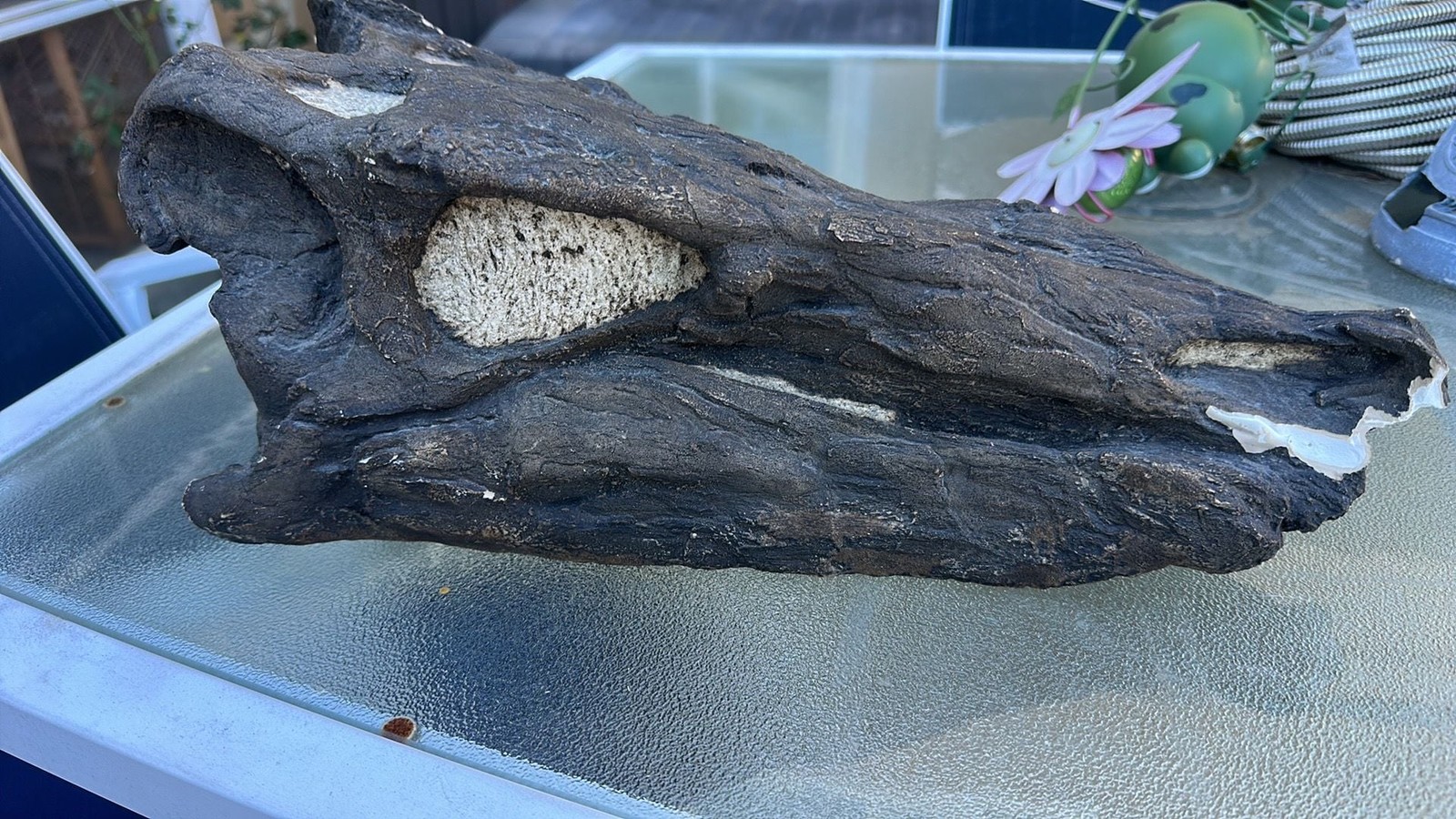 Large Fossilized Stegosaurus Dinosaur Skull Replica Cast Large Fossilized Stegosaurus Dinosaur Skull Replica Cast
