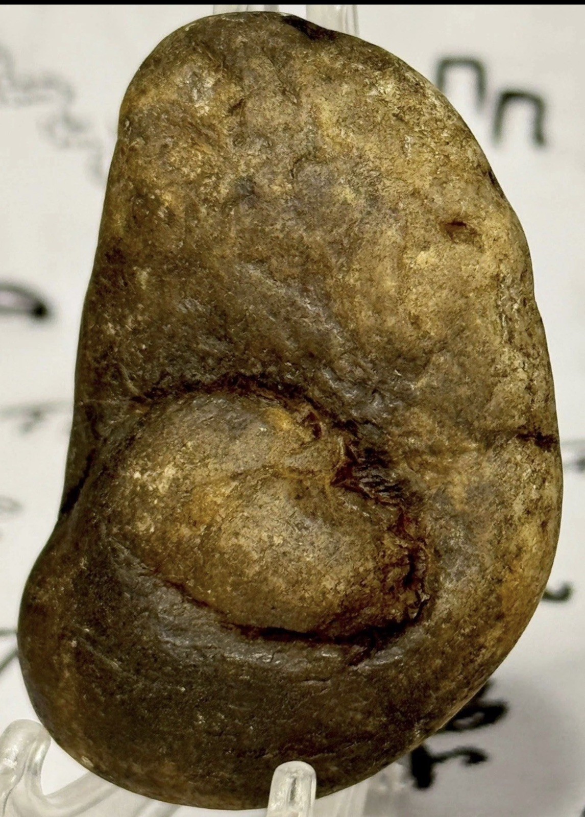 Pre Historic Man Made Authentic Carved Ancient Stone Effigy/ Figure, 2.3 oz Pre Historic Man Made Authentic Carved Ancient Stone Effigy/ Figure, 2.3 oz